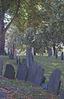 3562COPPSdpi314DIGsize10WC.jpg