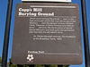3582COPPSdpi314DIGsize10WC.jpg