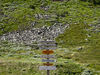 1011681SIGNdpi300DIGsize13WC.jpg